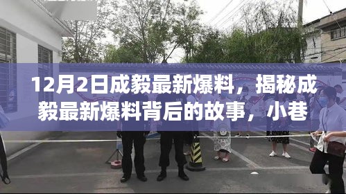 成毅最新爆料揭秘与神秘小巷小店的探秘之旅，独家内幕曝光！