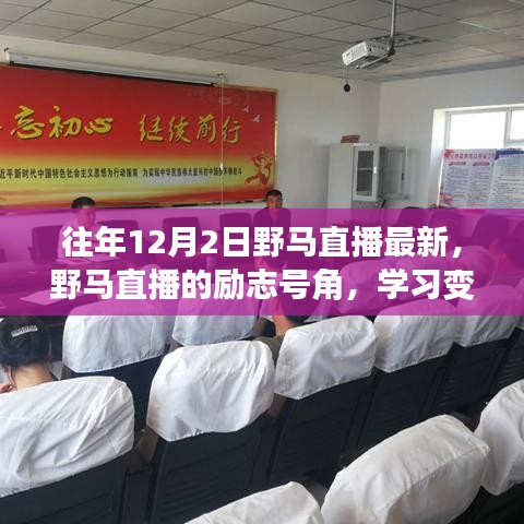 鸢飞鱼跃 第4页