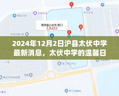 沪县太伏中学最新动态，友情与爱在温馨日常中绽放（2024年12月2日）