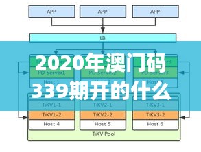 2020年澳门码339期开的什么,数据实施导向策略_pack141.177