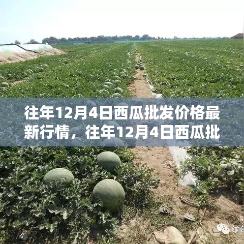 暗室屋漏 第4页