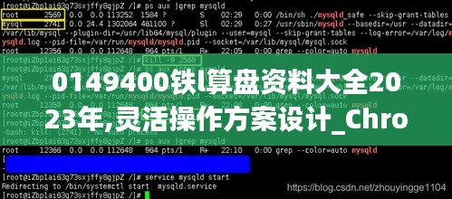 0149400铁l算盘资料大全2023年,灵活操作方案设计_Chromebook10.321