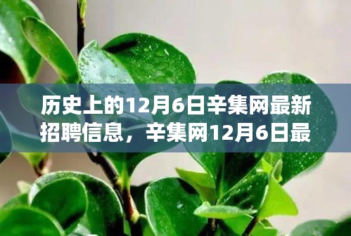 蚕丛鸟道 第4页