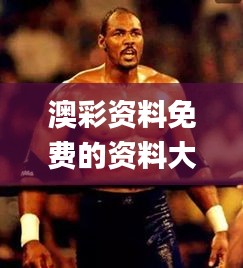 越鸟南栖 第3页