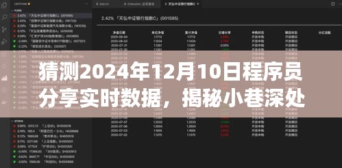 揭秘小巷深处的神秘角落，2024年实时数据程序员分享盛宴