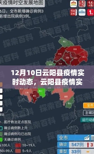 云阳县疫情实时动态报告，深度解析12月10日最新情况