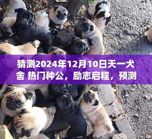 母凭子贵 第2页