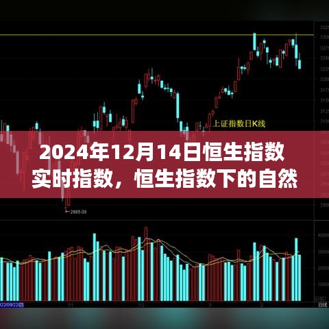 兵贵神速 第3页