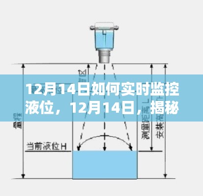 鸟面鹄形 第2页