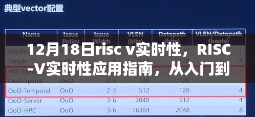 RISC-V实时性应用指南，从入门到进阶的详细步骤解析