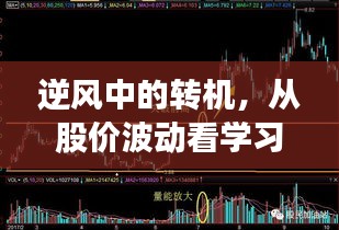 威风凛凛 第3页