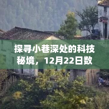 科技秘境探寻之旅，数据读取与实时显示的奇妙小巷之旅（12月22日）