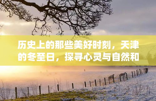 天津冬至日的心灵与自然和谐之旅，探寻历史美好时刻