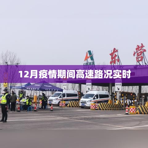 百鸟归巢 第2页