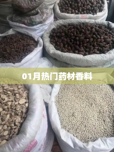 小有成就 第2页
