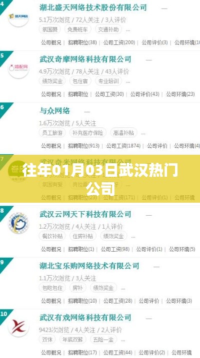粗枝大叶 第2页