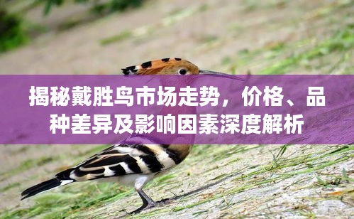 穷鸟入怀 第2页
