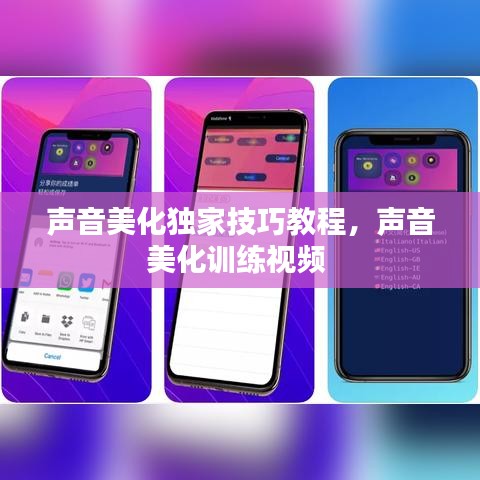 纲挈目张