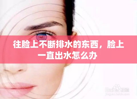 成功案例 第12页