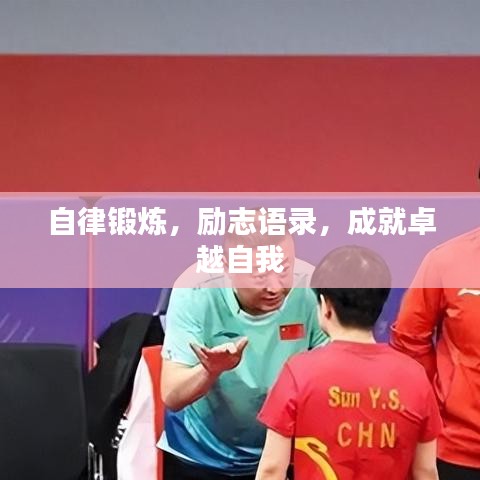 飞鸟依人