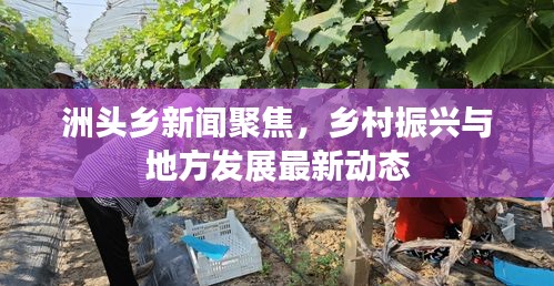 2025年4月 第2页