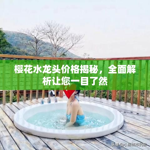 樱花水龙头价格揭秘，全面解析让您一目了然